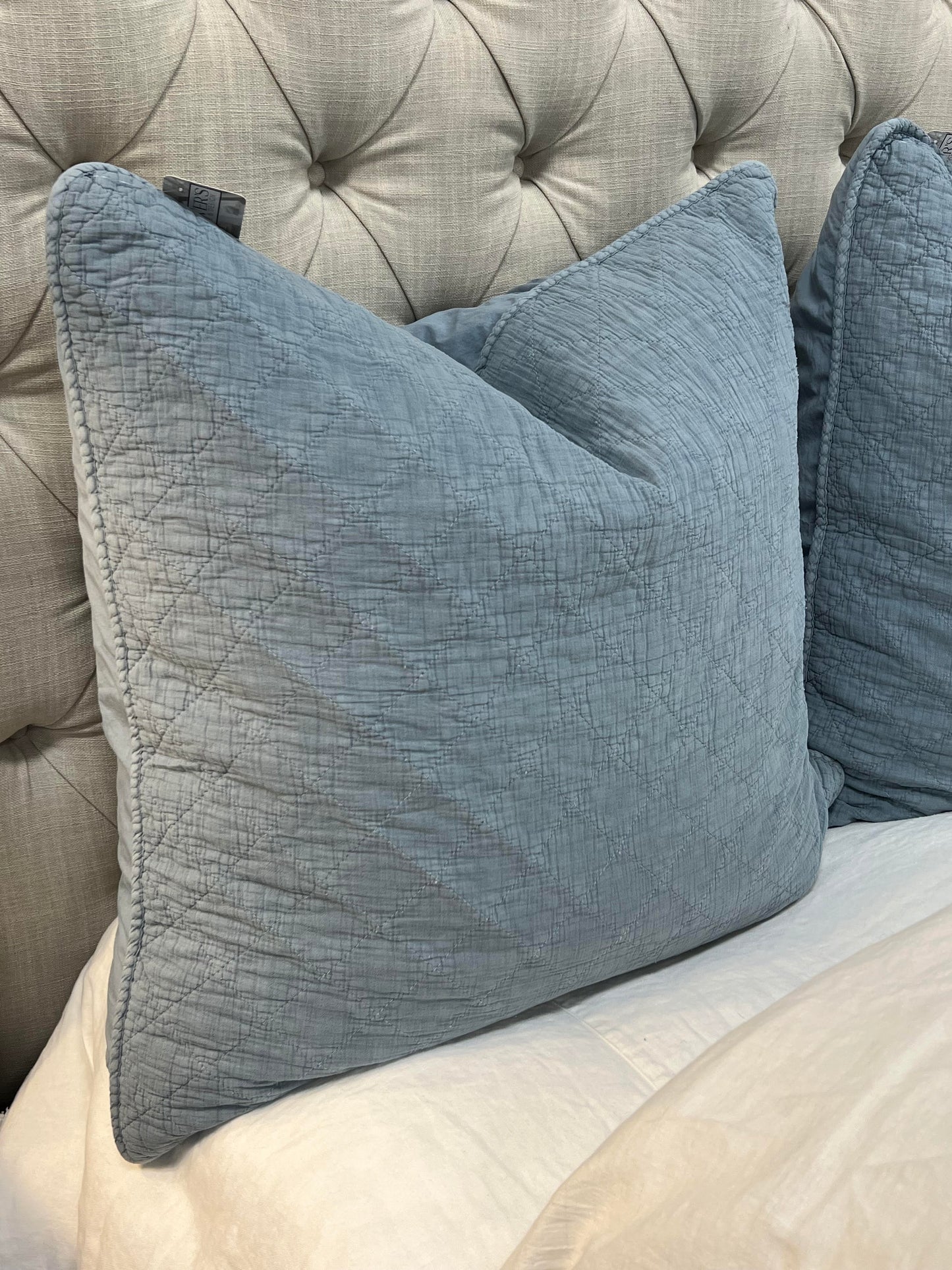 Blue Cotton Euro Sham