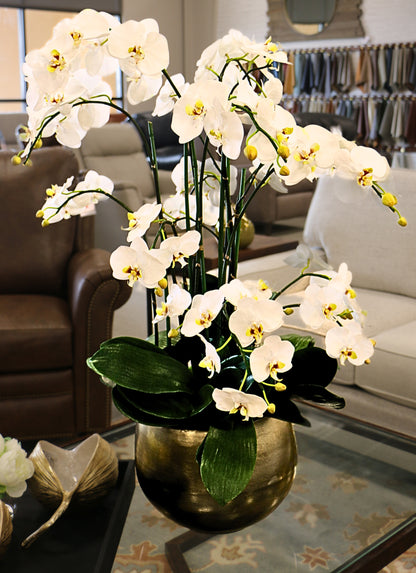 Orchid Floral Arrangement