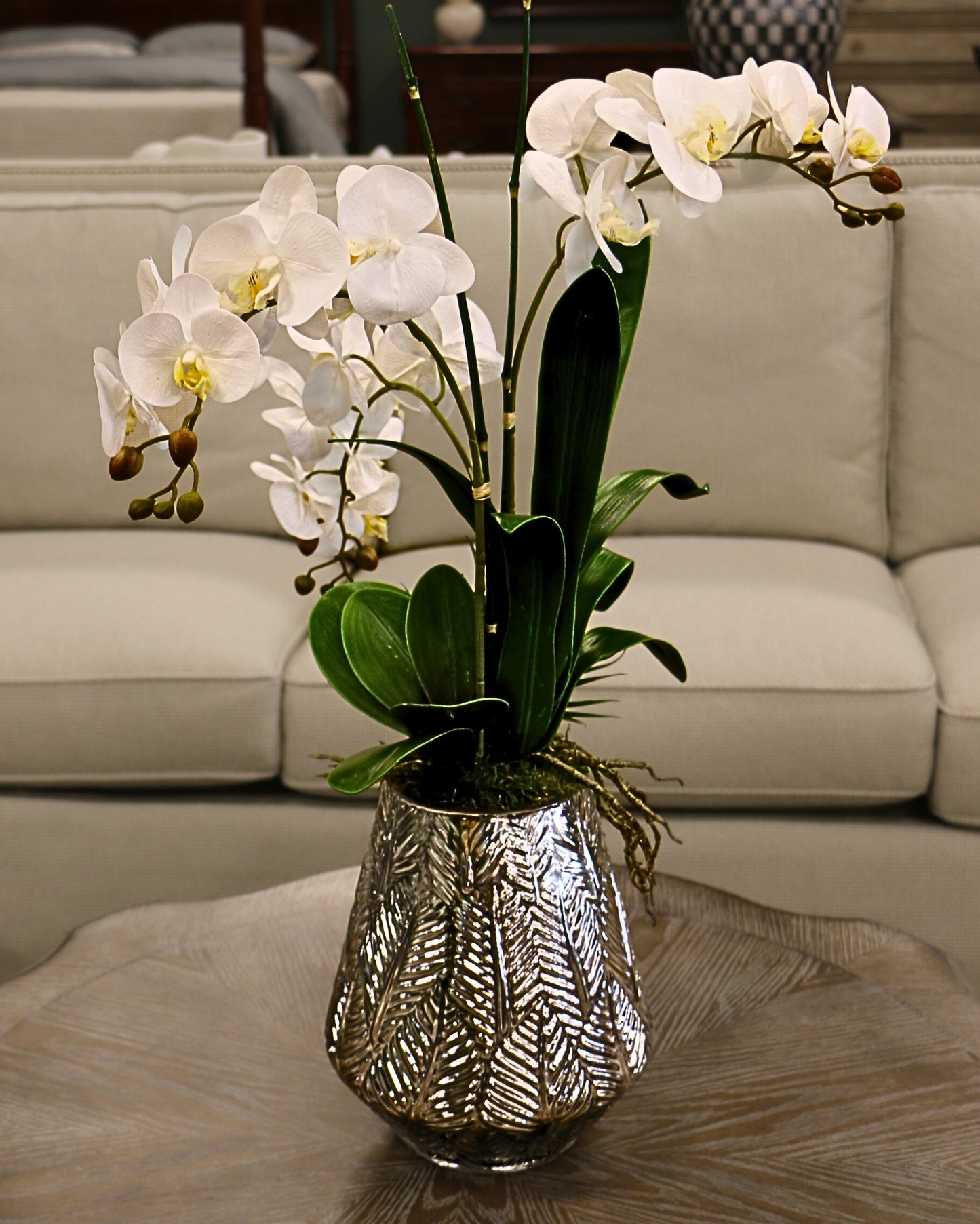 Orchid & Agave Floral Arrangement