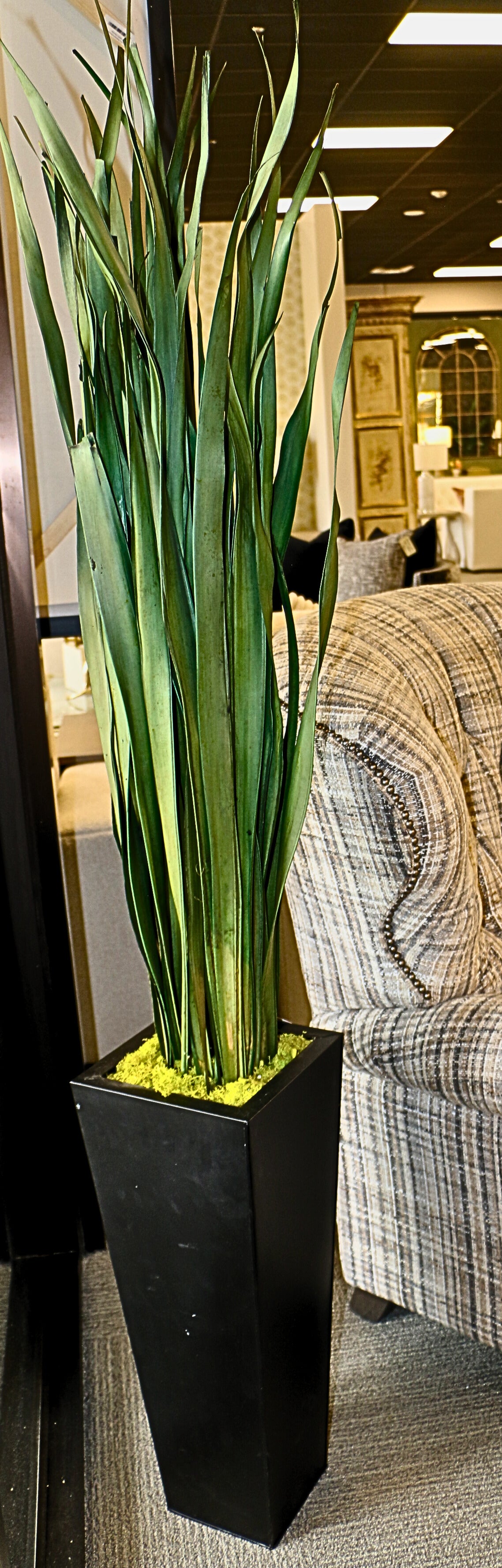 Palm Reeds in Metal Planter