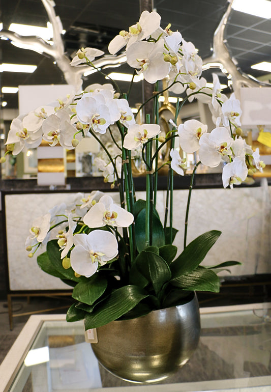 Orchid Floral Arrangement