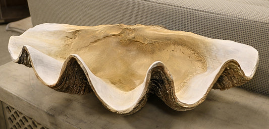 Clam Shell Bowl