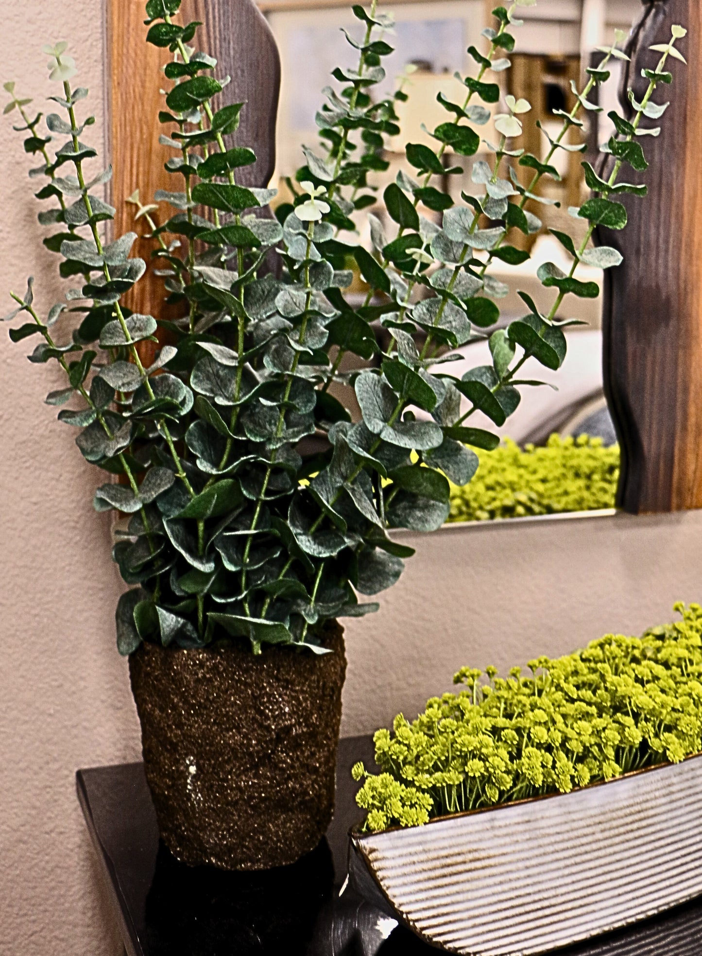 Eucalyptus Drop-In Plant