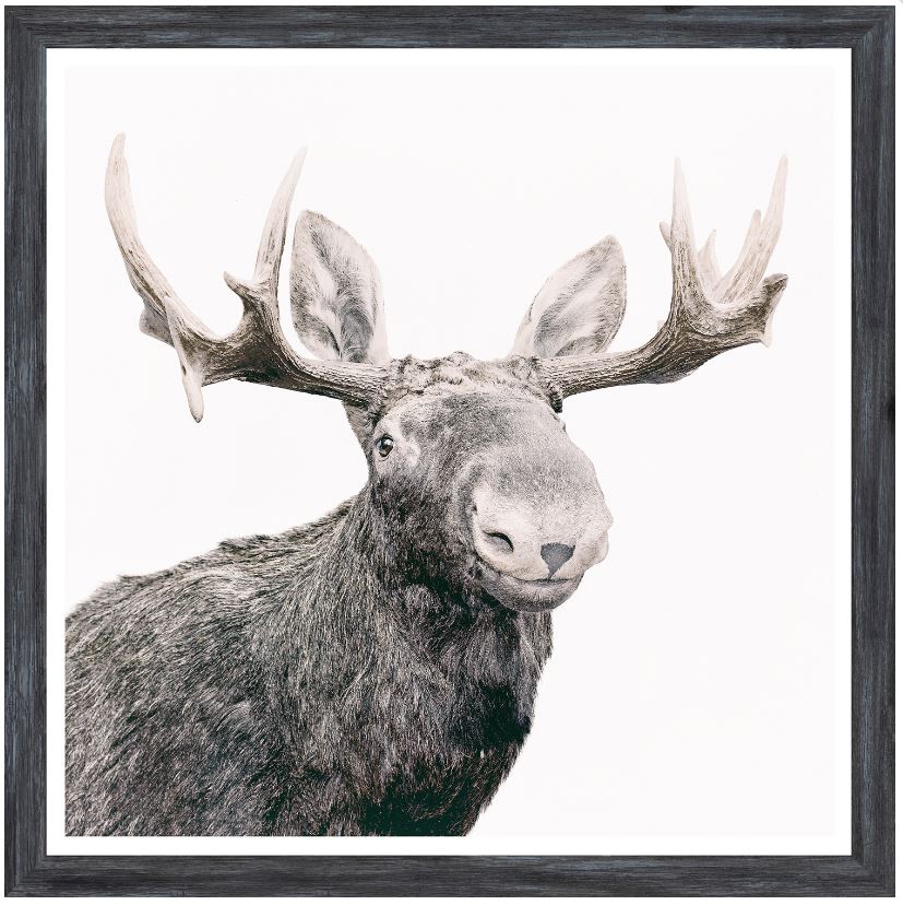 Moose Framed Artwork