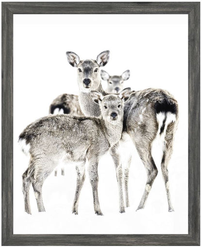 Deer Family Framed Art