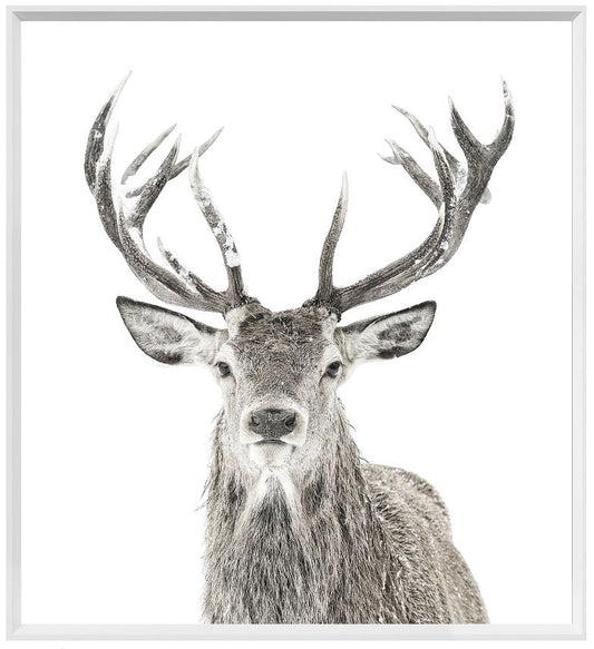 Gray Stag Print