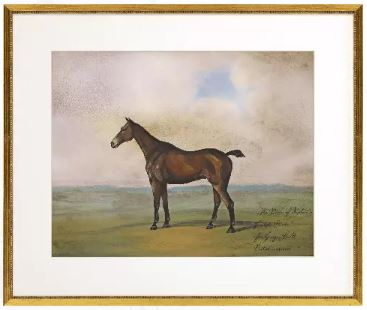 Horse II Framed Artwork