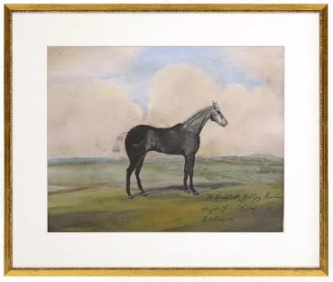 Horse I Framed Artwork